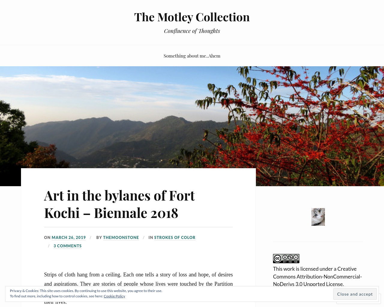 The Motley Collection
