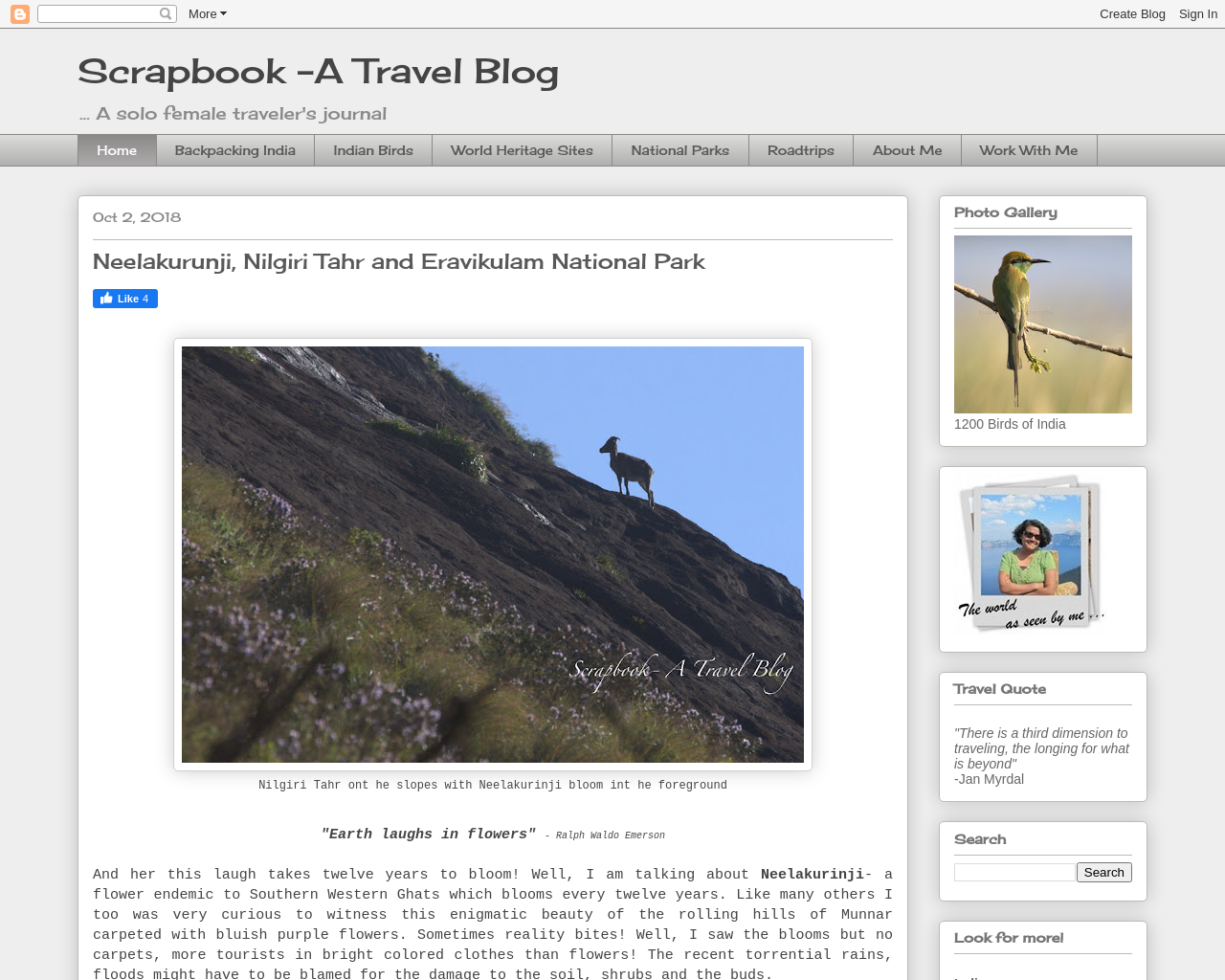 Scrapbook- A Travel Blog