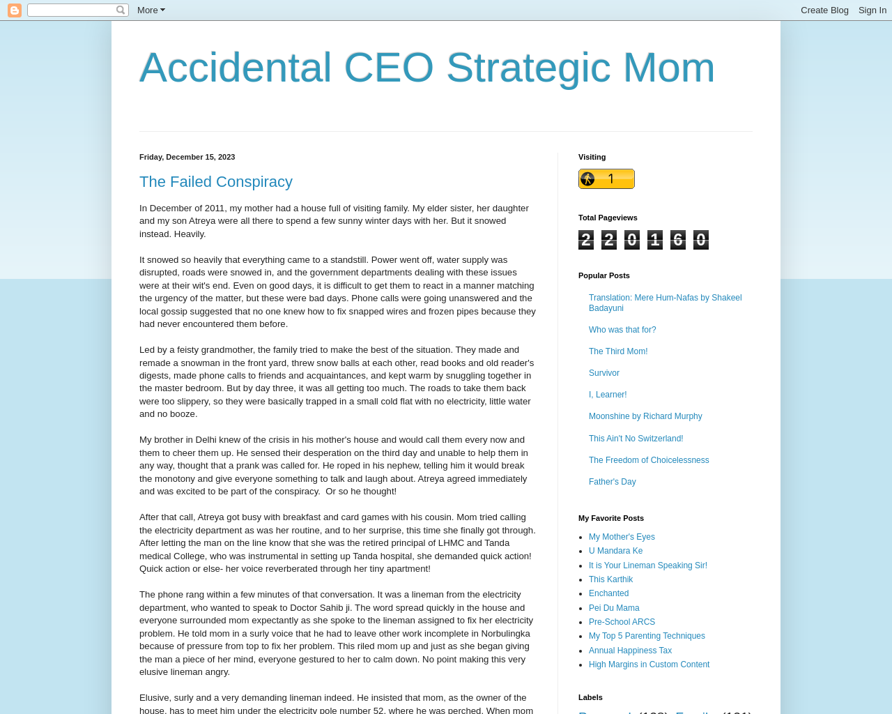 Accidental CEO Strategic Mom