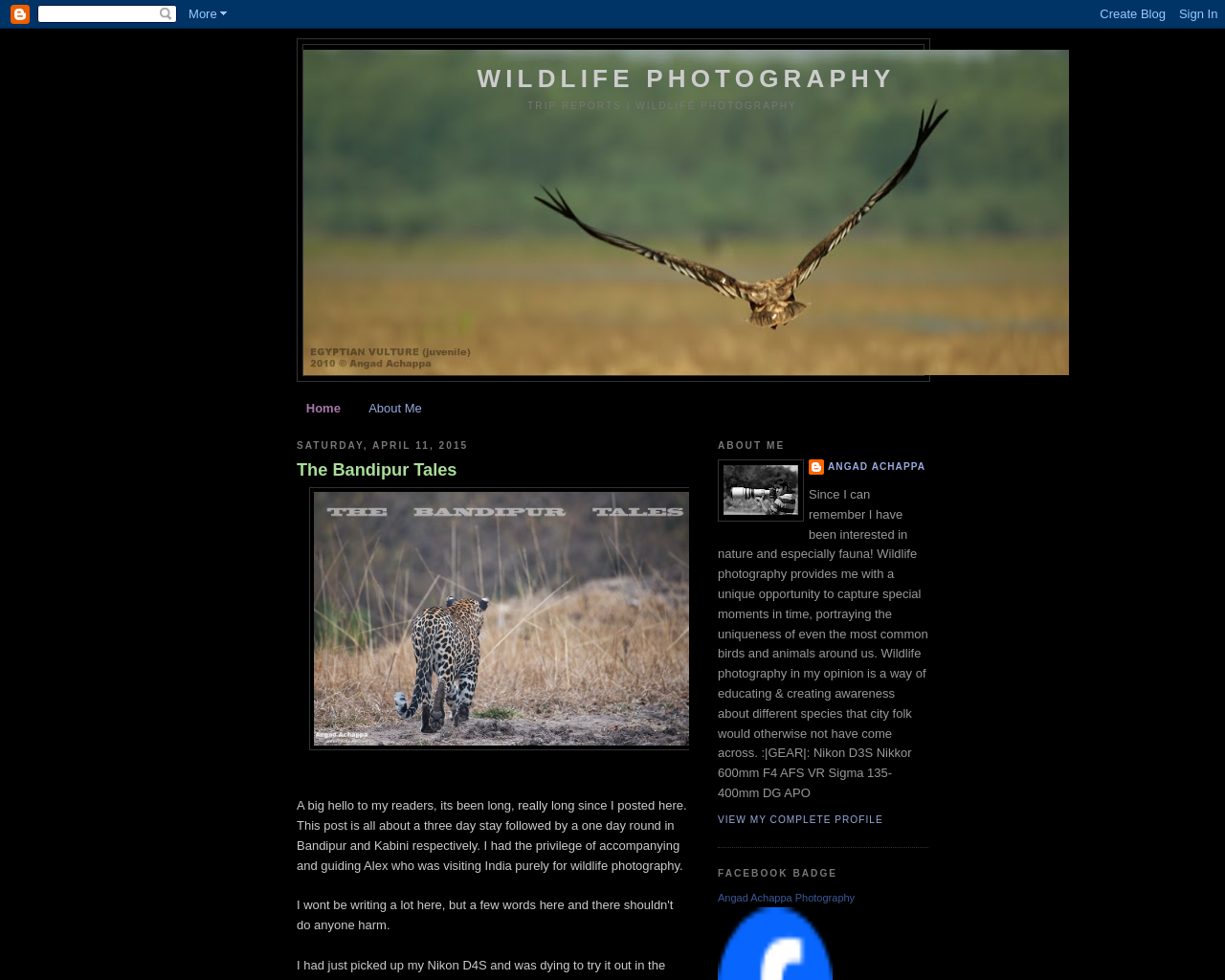 Indian Wildlife Photography